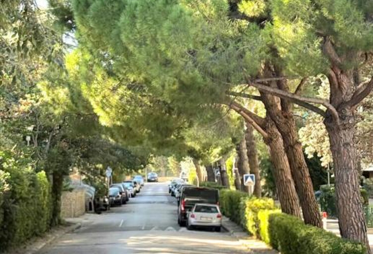Marseille 9e - Panouse / Cabot T4 106 m², balcons filants — photo 1