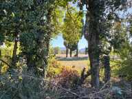 Terrain constructible de 1 186 m² aux portes des Alpilles — photo 3