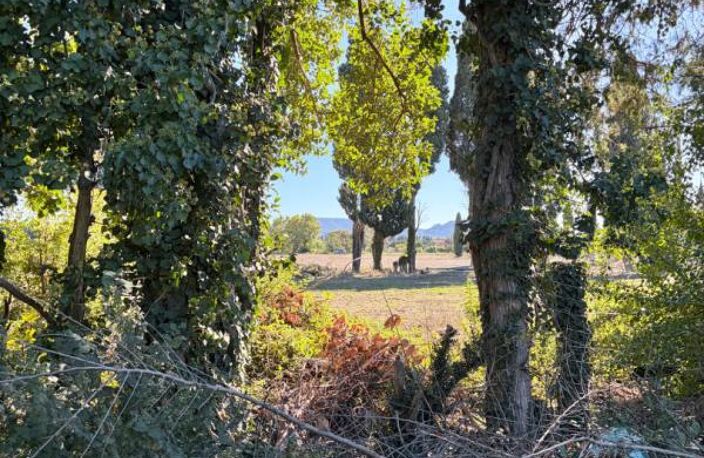 Terrain constructible de 1 186 m² aux portes des Alpilles — photo 3