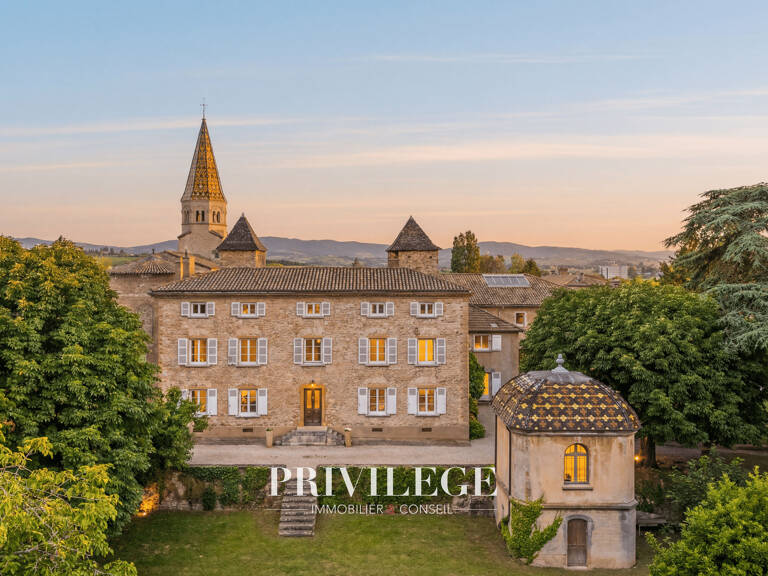 PROPRIÉTÉ D'EXCEPTION DU XIII SIÈCLE AUX PORTES DE LYON — photo 1