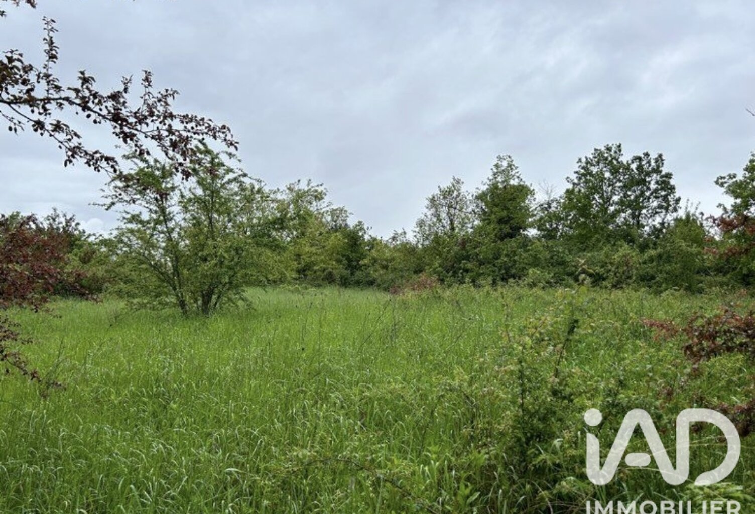 Vente Terrain à bâtir 4 604 m&sup2; — photo 1
