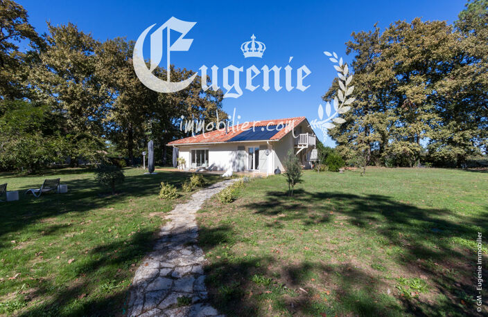 Maison rénovée de 125 m² avec grand terrain divisible de 3 680 m² – Cadre paisible à 15-20 min de Dax  — photo 3