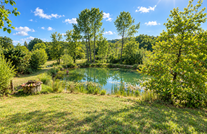Propriété de charme avec gîte et piscine aux portes de Berge — photo 2