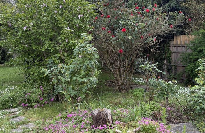 Maison de plain pied avec grand terrain — photo 5