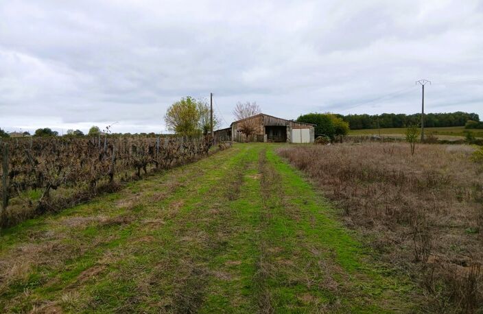 Maison — photo 4