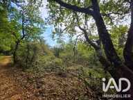 Vente Terrain agricole 14 650 m&sup2; — photo 3
