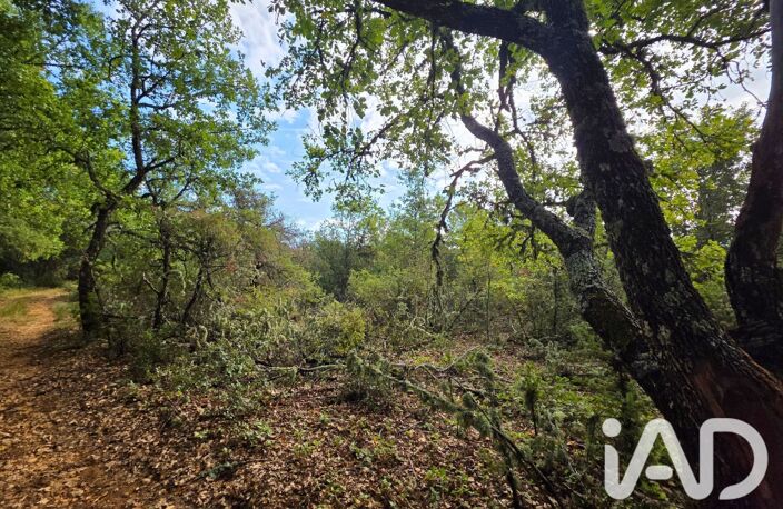Vente Terrain agricole 14 650 m&sup2; — photo 3