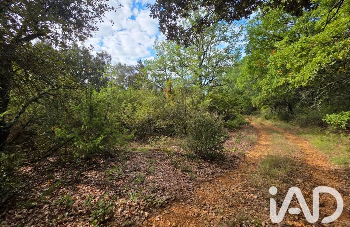 Vente Terrain agricole 14 650 m&sup2; — photo 4