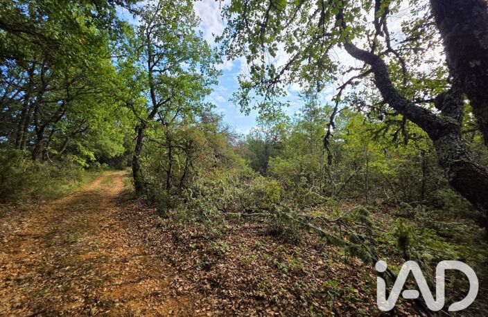 Vente Terrain agricole 14 650 m&sup2; — photo 5
