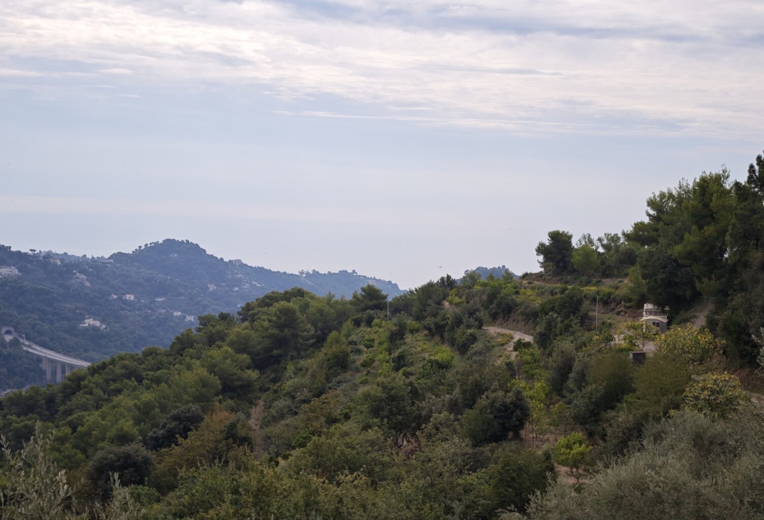 Vente Terrain 800 m&sup2; — photo 1