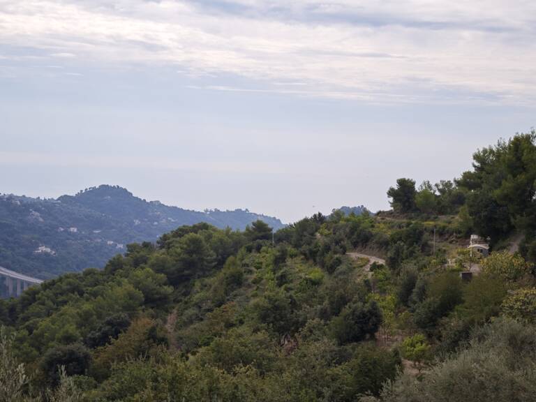 Vente Terrain 800 m&sup2; — photo 1