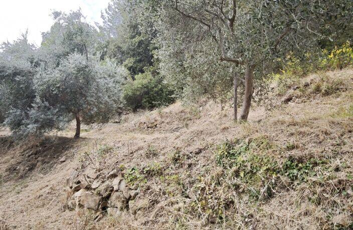 Vente Terrain 800 m&sup2; — photo 3