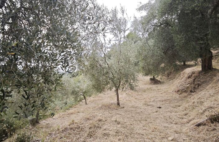 Vente Terrain 800 m&sup2; — photo 4