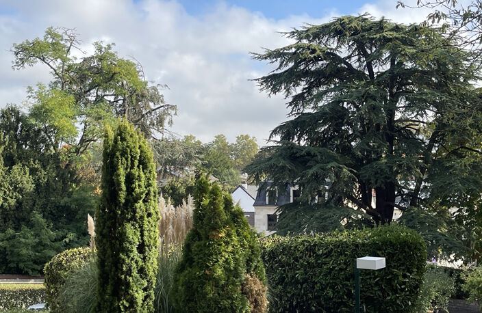 F1 MEUBLE - VUE SUR UN PARC PRIVE — photo 4