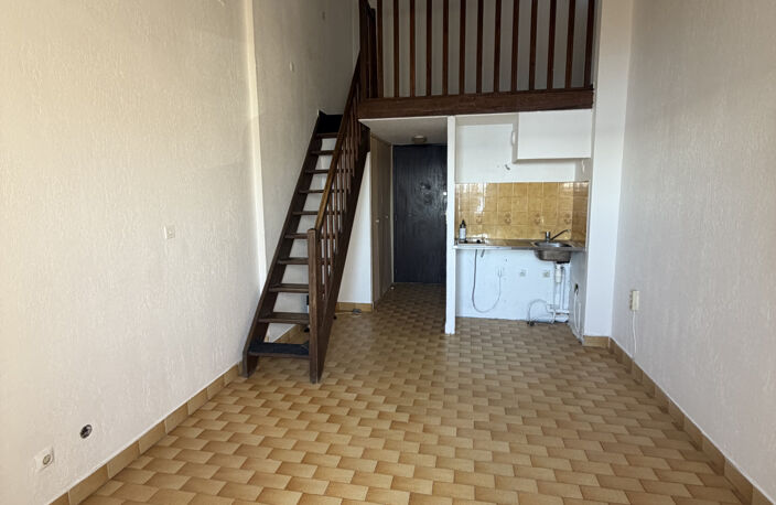 T1 vue étang — photo 2