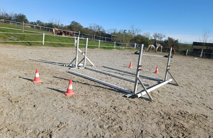 CINTEGABELLE- Fonds de commerce pension de chevaux et poney — photo 4