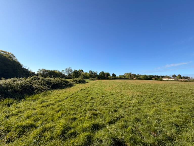 Terrain à bâtir à Loupes (33370) — photo 1