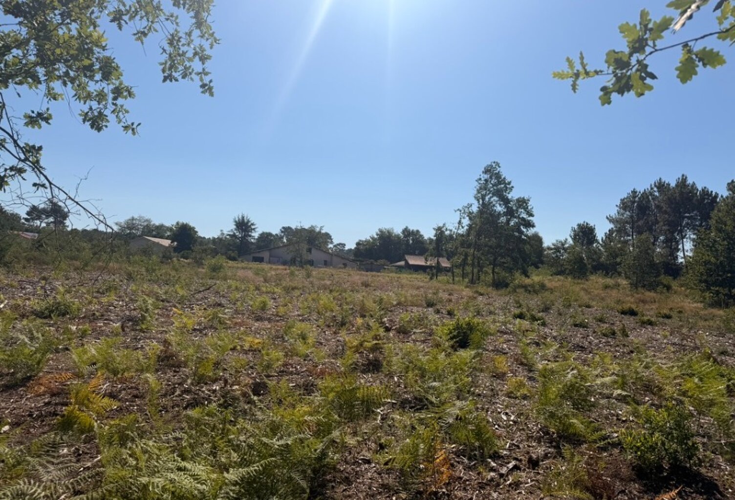Terrain à bâtir à Salles (33770) — photo 1