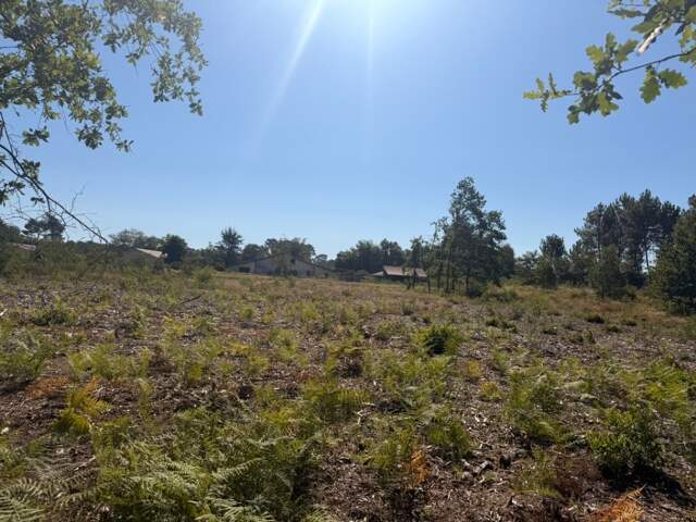 Terrain à bâtir à Salles (33770) — photo du bien