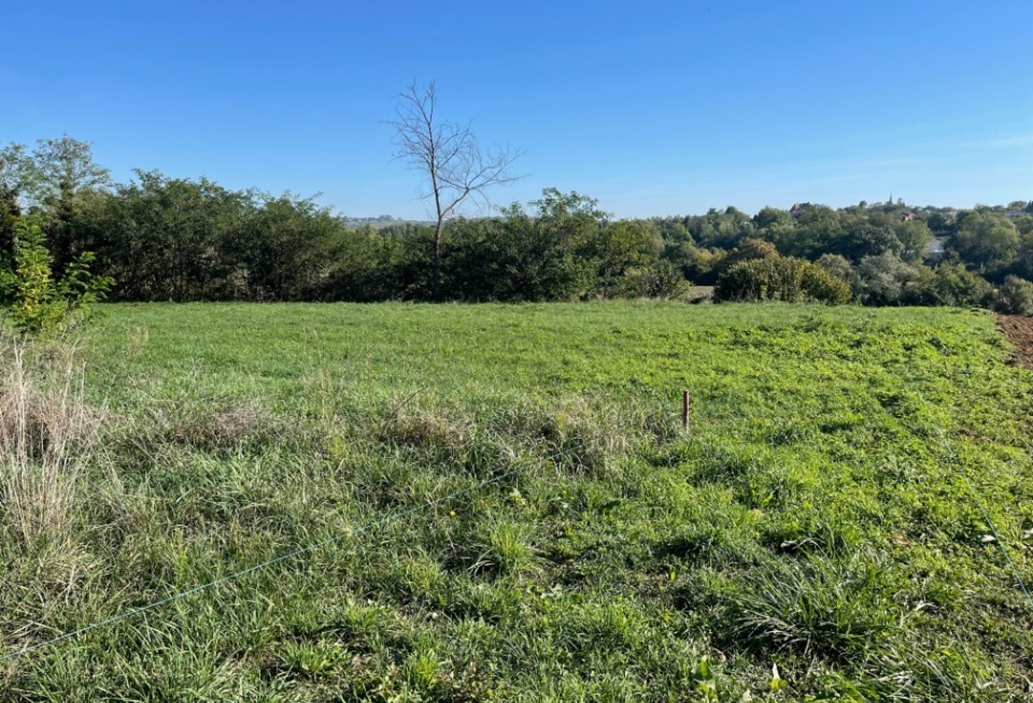 Terrain à bâtir à Le Tuzan (33125) — photo 1