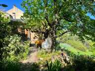 Petite maison d'été + jardin + piscine — photo 2