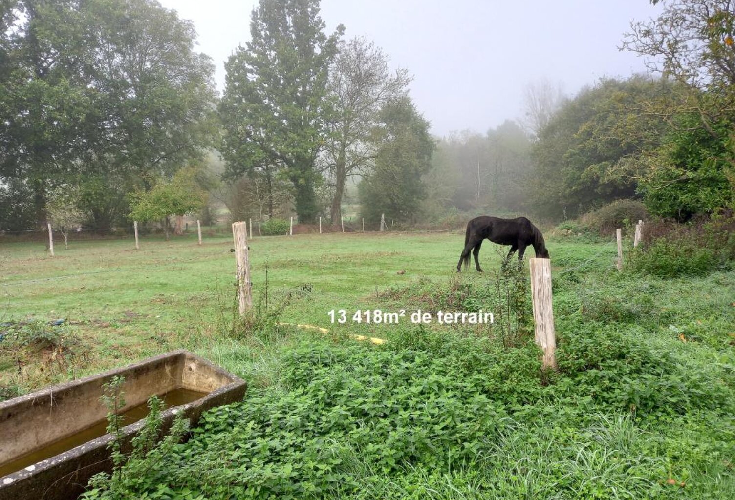 SAINT-PIERRE-LA-COUR – Longère en pierre 130m² avec dépendances et terrain d'1,34ha — photo 1