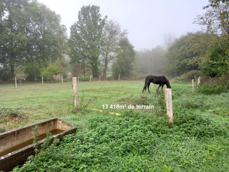 SAINT-PIERRE-LA-COUR – Longère en pierre 130m² avec dépendances et terrain d'1,34ha — photo 1