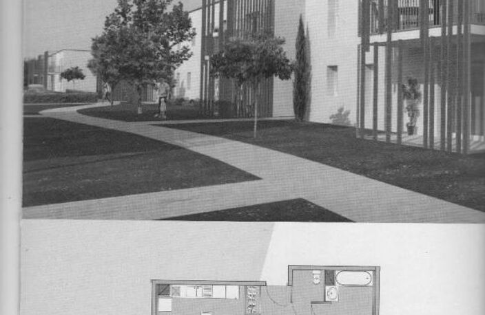 T3 — photo 2