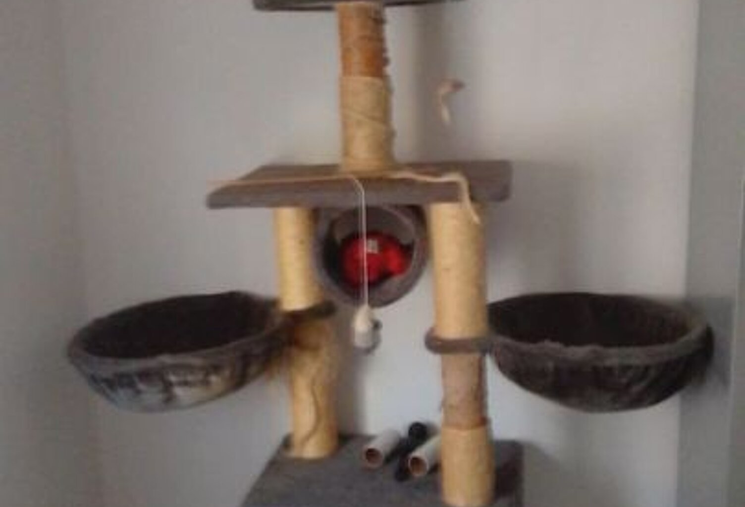 Appartement de 20m2 à louer sur Lens — photo 1