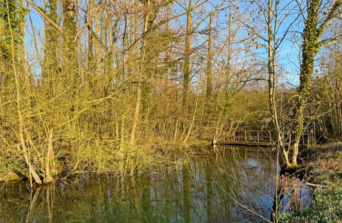 Demeure de Maître à 15min de Cambrai — photo 3