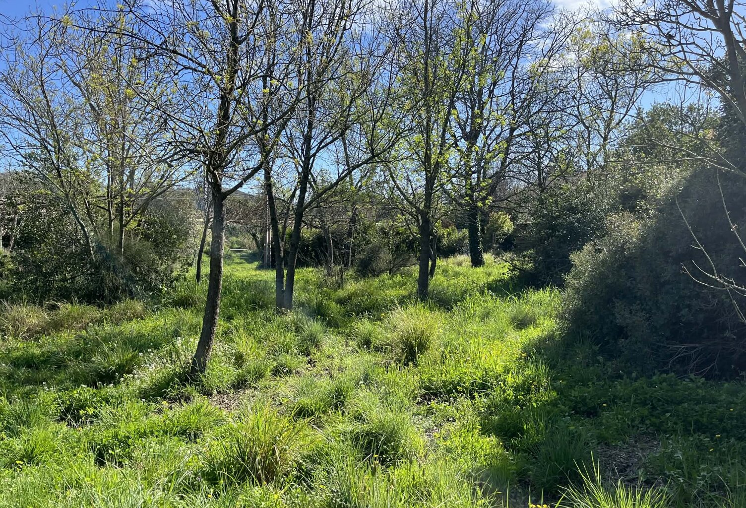 Vente terrain à construire 1000 m² Roquevaire (13360) — photo 1