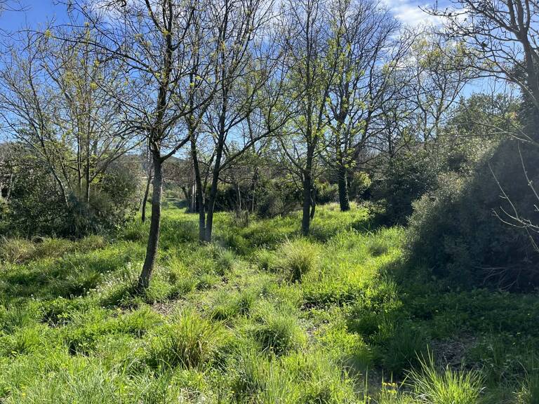 Terrain à construire  1000 m² — photo 1