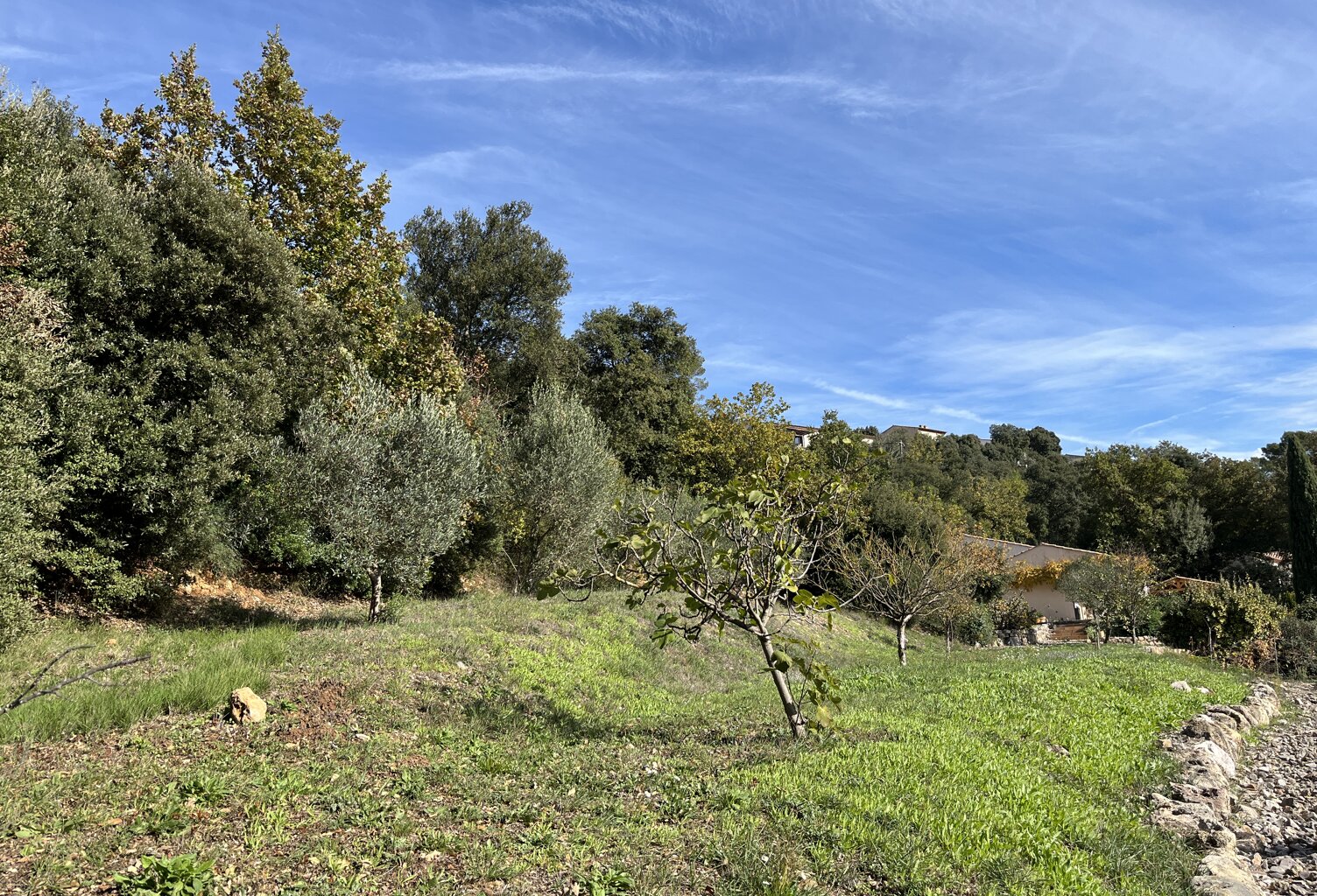 Vente terrain à construire 1200 m² Flassans-sur-Issole (83340) — photo 1