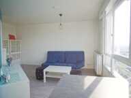 T1 — photo 4