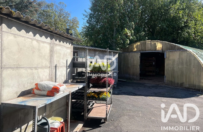 Vente Cadeaux, Fleurs 90 m&sup2; — photo 4