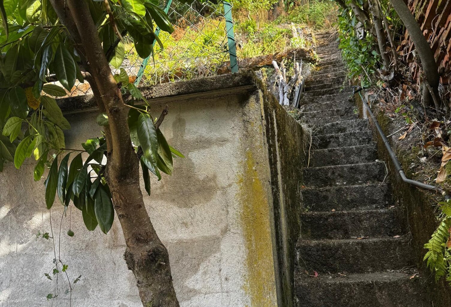 MAISON DE 174 M² À RÉNOVER  PLOMBIÈRES-LES-BAINS — photo 1
