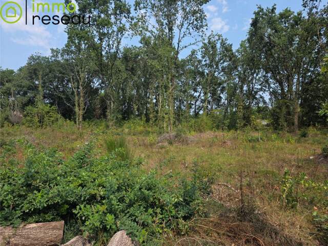 Terrain constructible — photo du bien