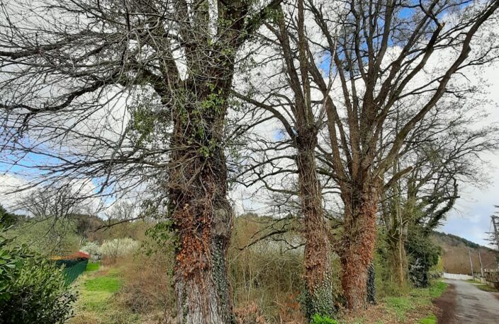 Vente Terrain à bâtir 4 440 m&sup2; — photo 2