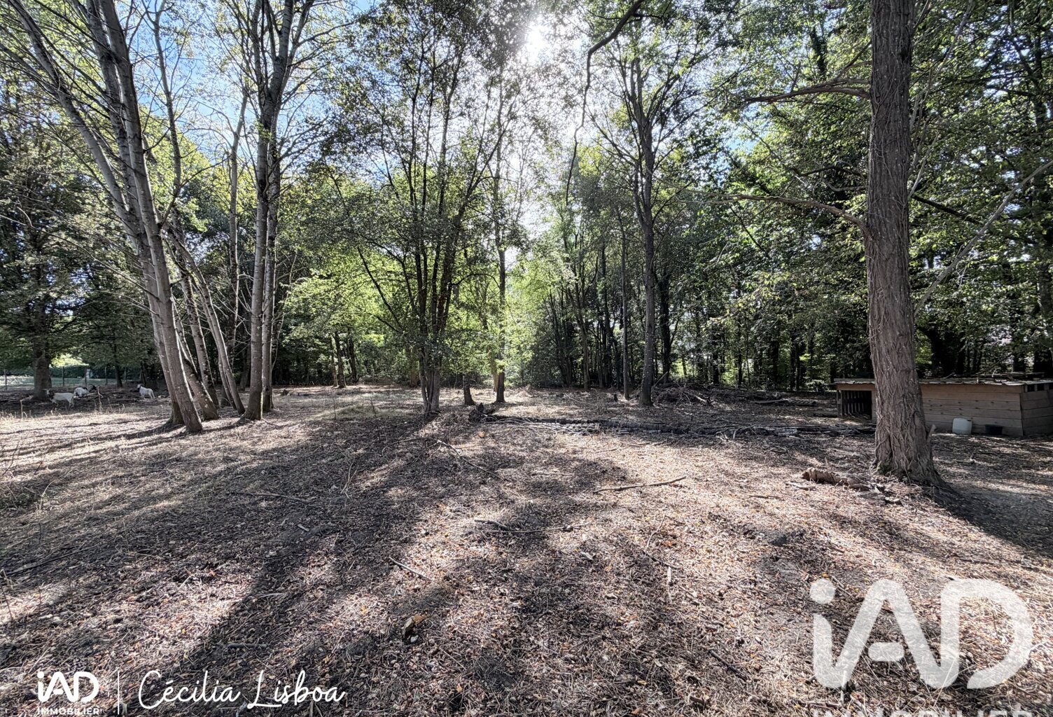 Vente Terrain 6 725 m&sup2; — photo 1