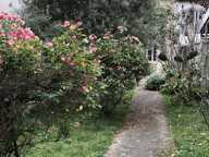 Nay centre, maison de ville 3 chambres avec jardin — photo 2