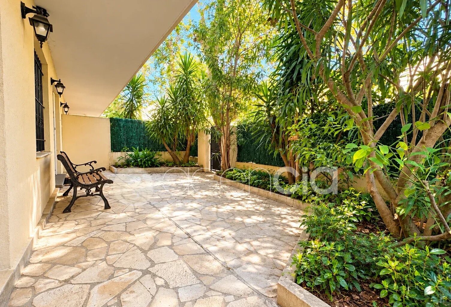 Basse Californie Rez-de-jardin — photo 1