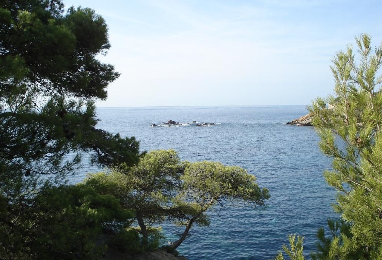 Studio de 36m2 à louer sur Sausset-les-Pins — photo 1