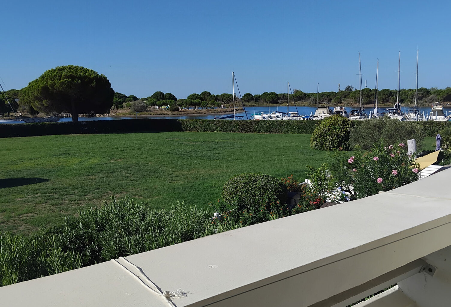 Produit rare avec vue incroyable sur une grande pelouse et c — photo 1
