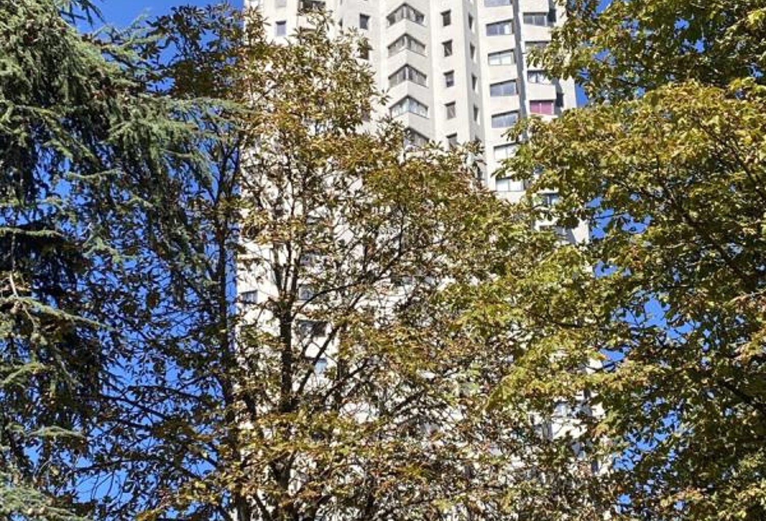 T5 — photo 1
