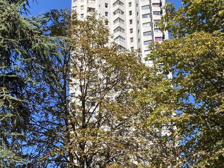 T5 — photo 1