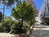 T5 — photo 2