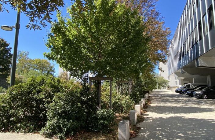 T5 — photo 2