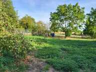 MAISON INDIVIDUELLE AVEC GRANGE ET JARDIN — photo 4