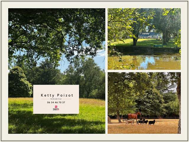 DOMAINE DE CHARME Nort Sur Erdre 12 pièces 200m2 et Gite 128m2 — photo du bien