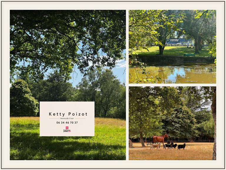 DOMAINE DE CHARME Nort Sur Erdre 12 pièces 200m2 et Gite 128m2 — photo 1